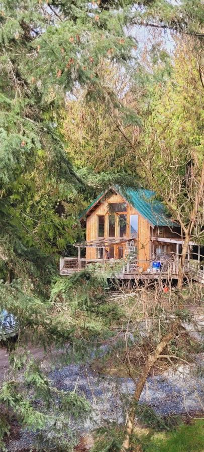 Ocean Views & Sunset Beach Cabin With Soaker Tub & Fire Pit Villa Powell River Dış mekan fotoğraf
