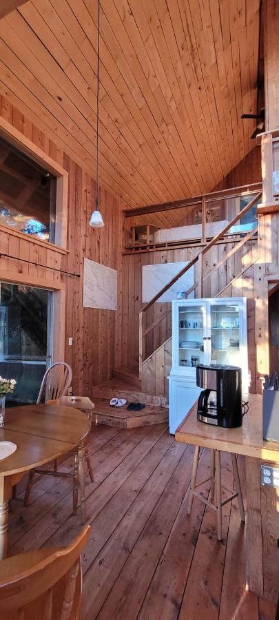 Ocean Views & Sunset Beach Cabin With Soaker Tub & Fire Pit Villa Powell River Dış mekan fotoğraf