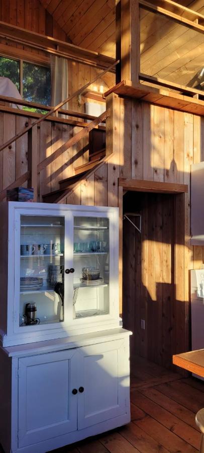 Ocean Views & Sunset Beach Cabin With Soaker Tub & Fire Pit Villa Powell River Dış mekan fotoğraf